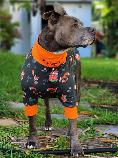 Foxy Fam Dog Pajamas