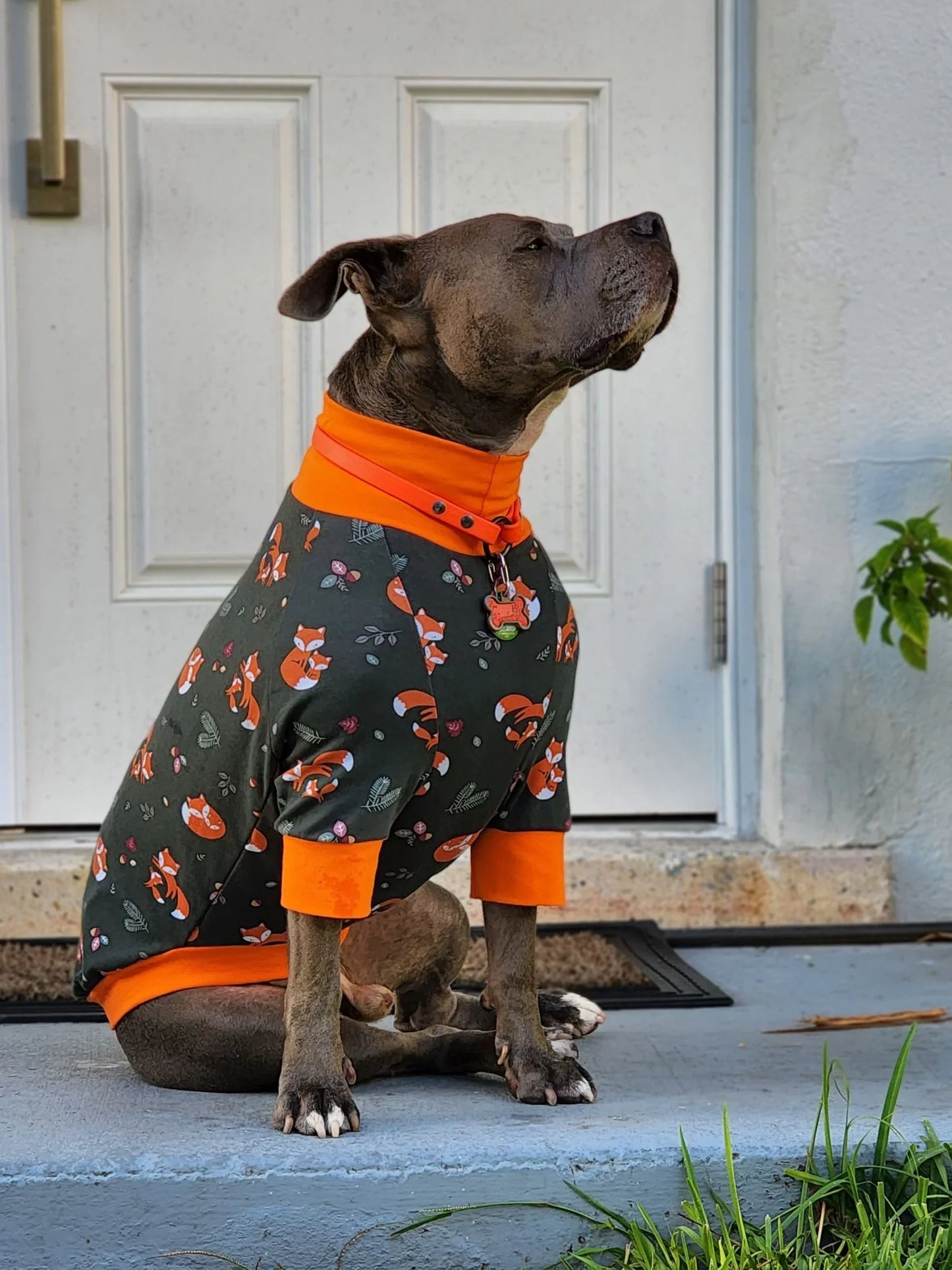 Foxy Fam Dog Pajamas