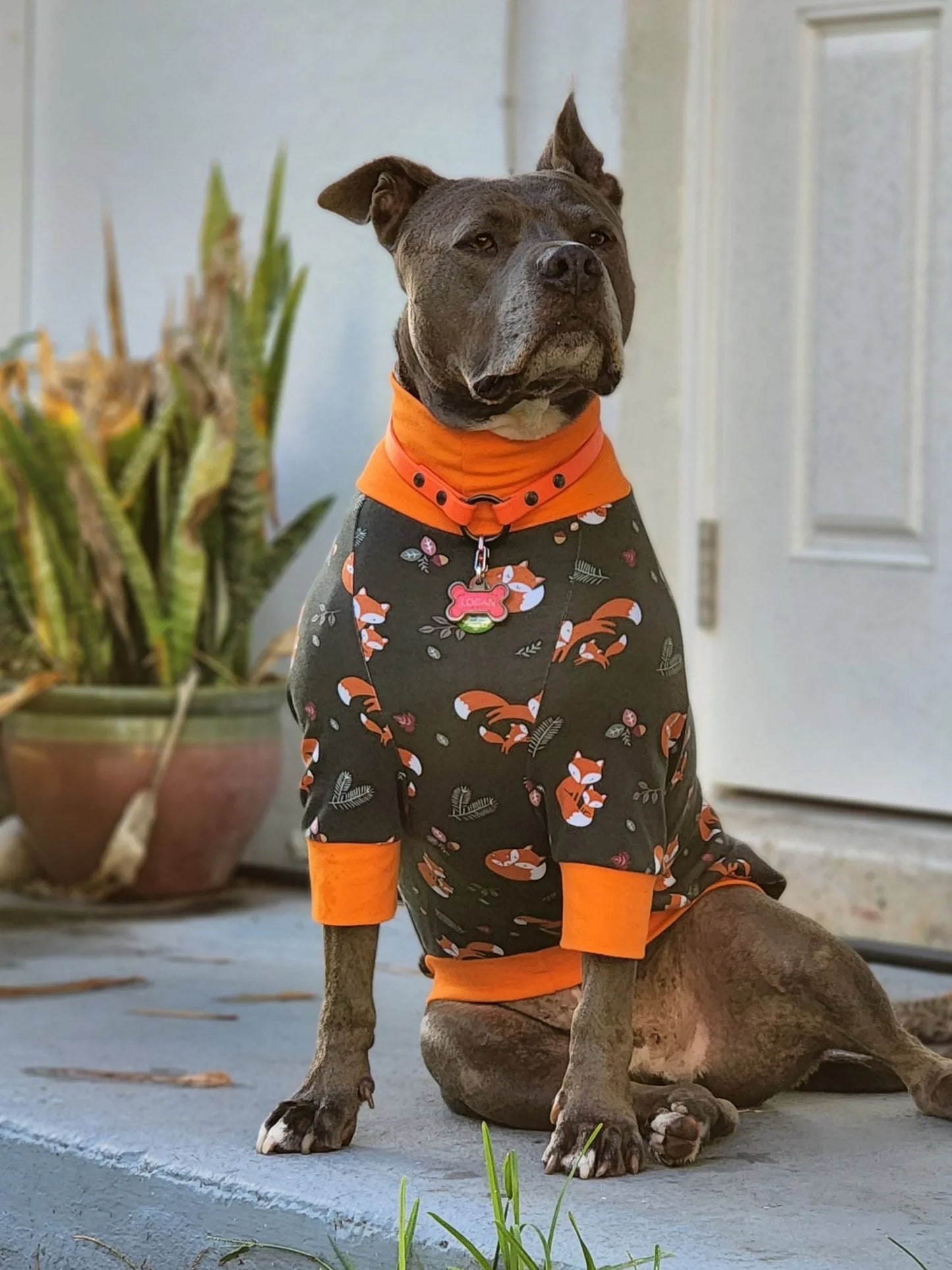 Foxy Fam Dog Pajamas