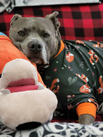 Foxy Fam Dog Pajamas