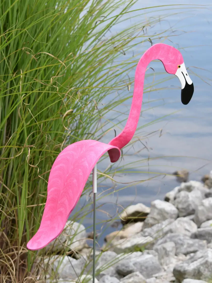 Florida Dancing Birds®, Flamingos