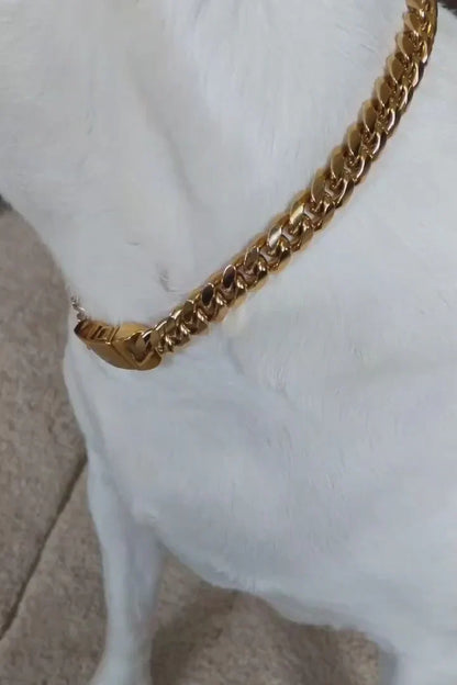 Gold Cuban Link Dog Chain